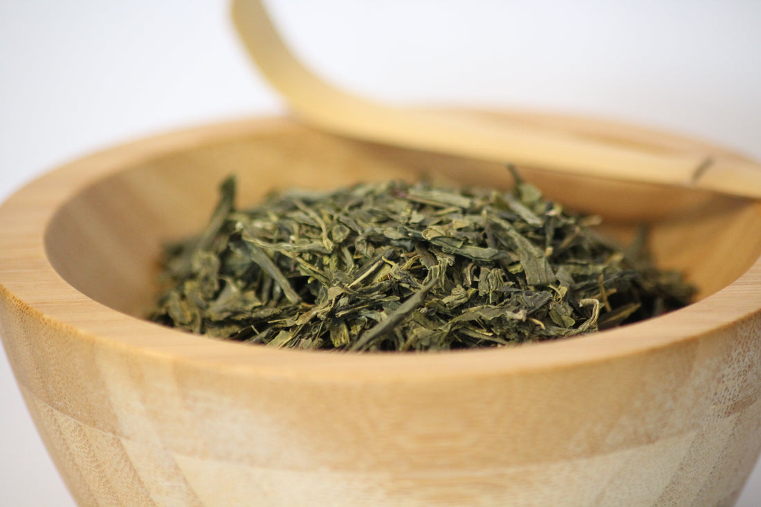 Les bienfaits du thé vert Sencha