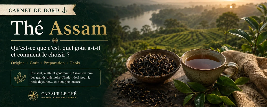 Bandeau Carnet de bord consacré au thé Assam, avec plantation de thé en Inde, feuilles de thé noir en vrac et tasse ambrée, présentant son origine, son goût malté et sa préparation.