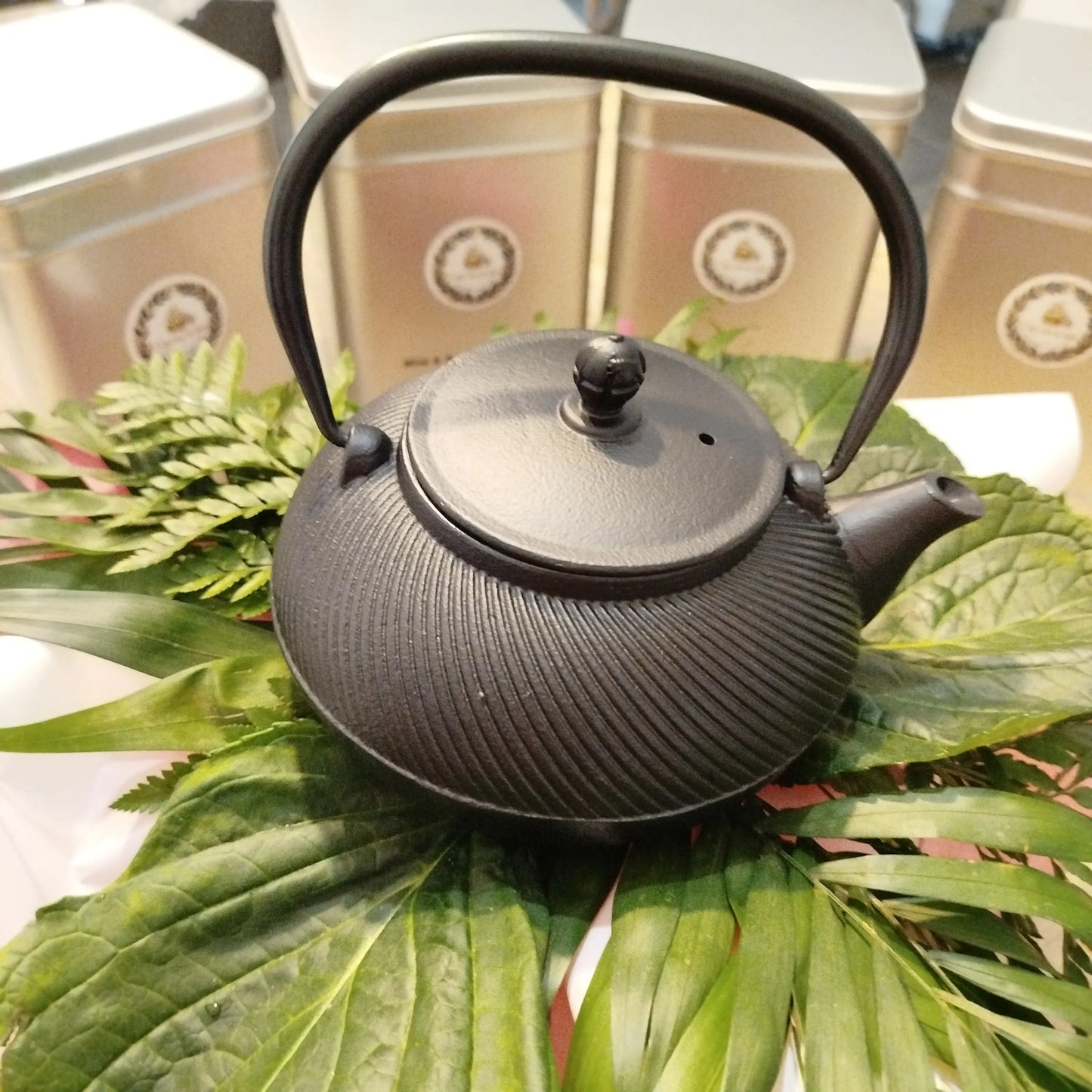 Théière en fonte L’Océanide – 1 000 ml