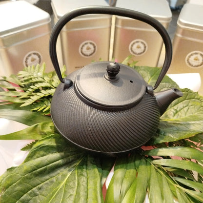 Théière en fonte L’Océanide – 1 000 ml