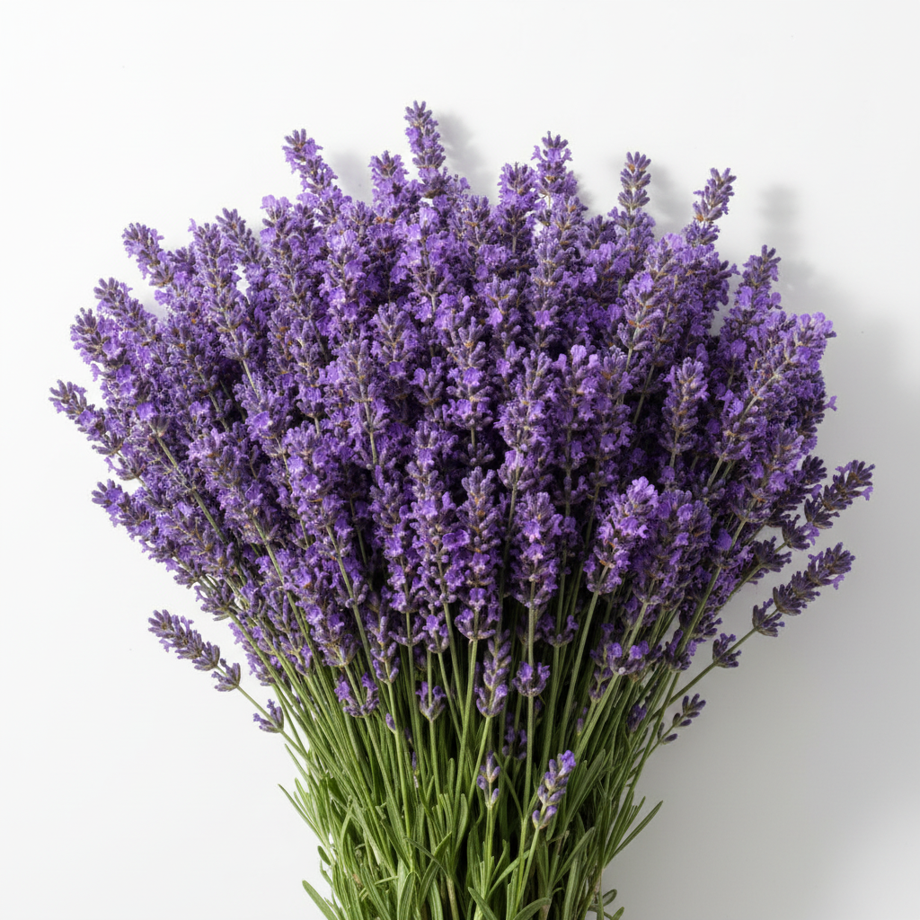 bouquet de lavandes