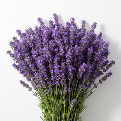 bouquet de lavandes