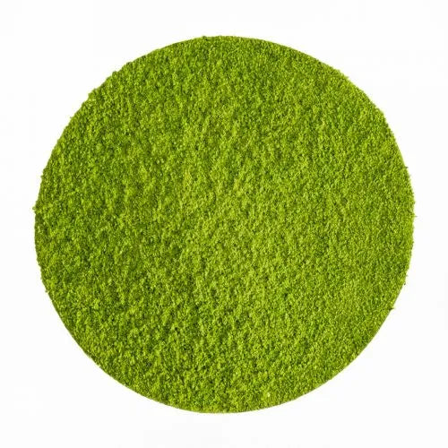 Matcha de cérémonie Hisui en poudre, d’un vert jade intense