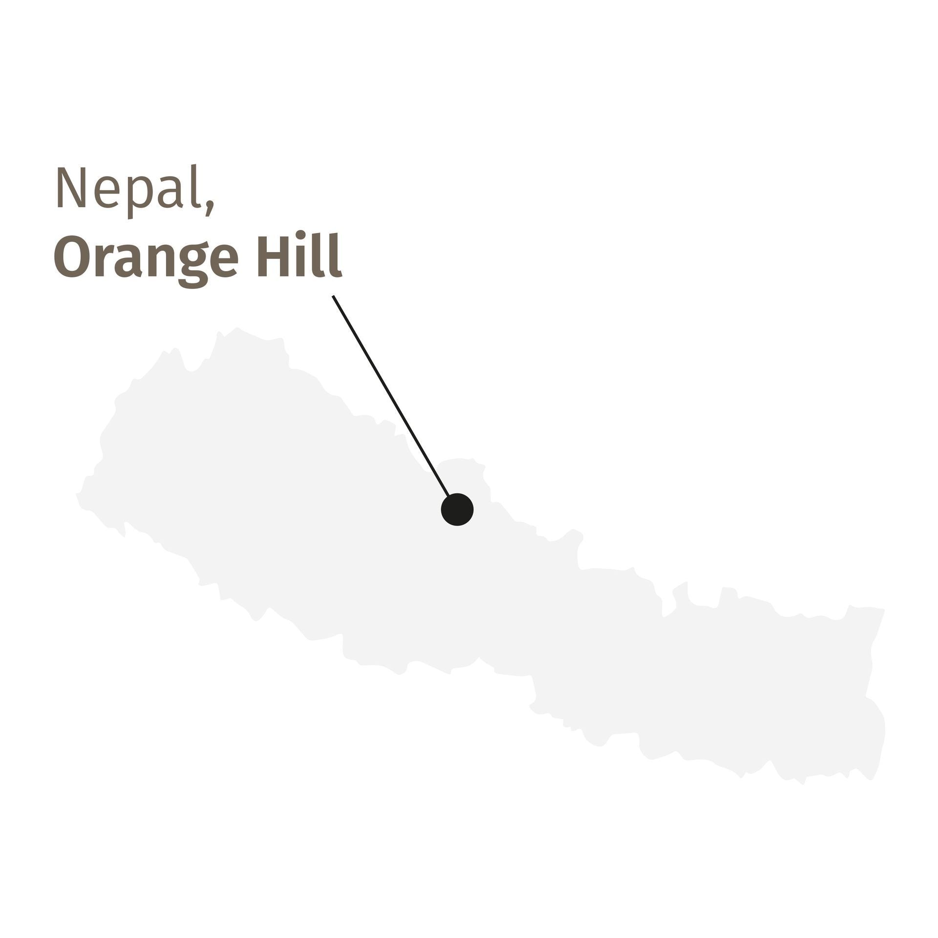 Himalayan FTGFOP1 Orange Hill 1st Flush Cap sur le thé