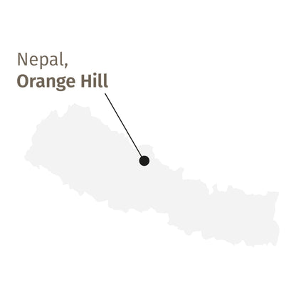 Himalayan FTGFOP1 Orange Hill 1st Flush Cap sur le thé